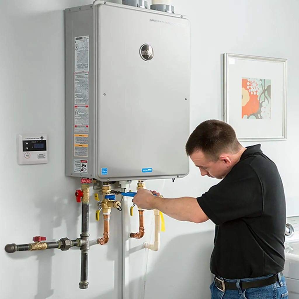 tankless water heater repair in Ringwood, IL